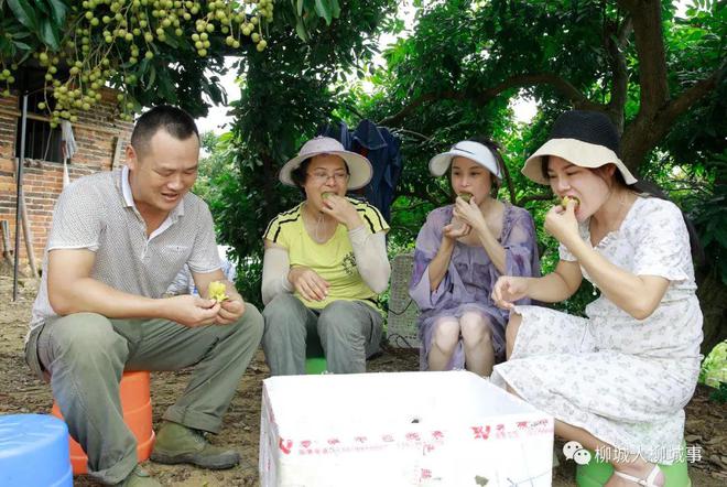 pg娱乐电子游戏柳城猕猴桃好吃到停不下来连吃3年都不腻(图4)