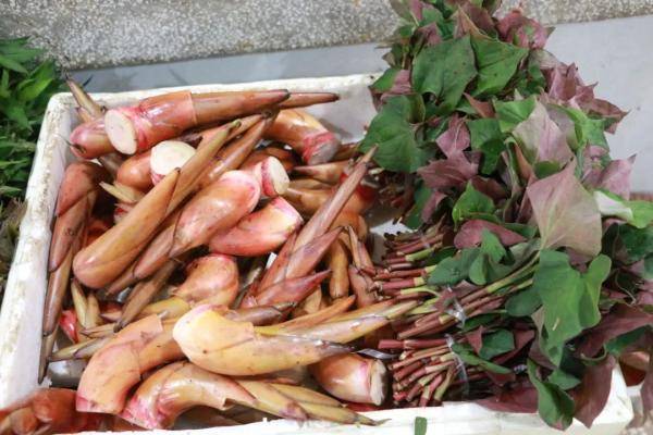 美食 春天的味道都在这些野菜里(图2)