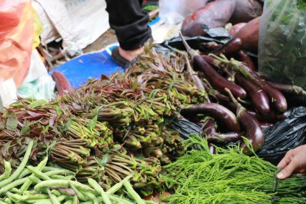 美食 春天的味道都在这些野菜里(图3)