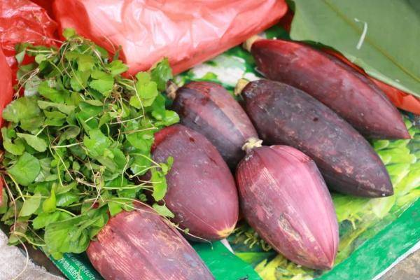 美食 春天的味道都在这些野菜里(图4)