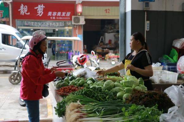 美食 春天的味道都在这些野菜里(图7)